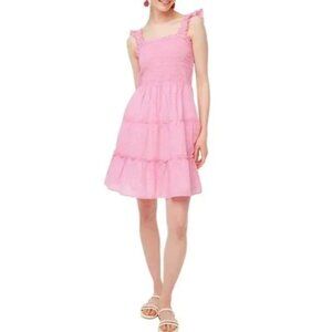 J. Crew EUC Seersucker Striped Smocked Lined Tiered Mini Dress sz M  Wild Berry